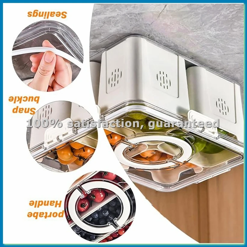 Food Storage Box Large - صينية فواكه للنزهات الكبيرة، صندوق تخزين