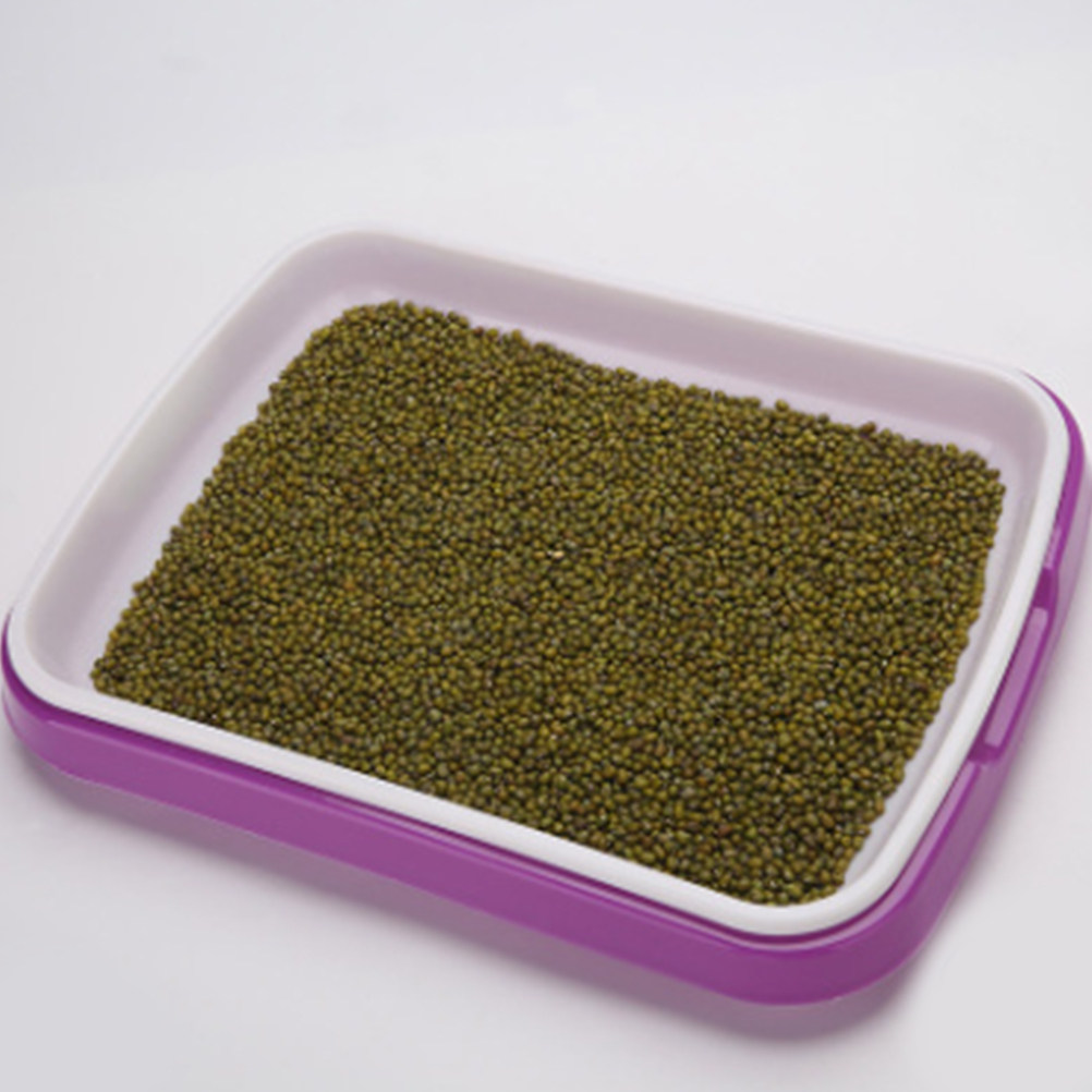صينية إنبات من مادة البولي برو - مراجعة Food Storage Roots وسعره
