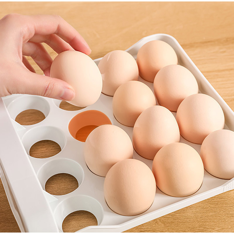 صندوق تخزين البيض ذو الطبقتين  - مراجعة Food Storage Large Plastic Containers وسعره