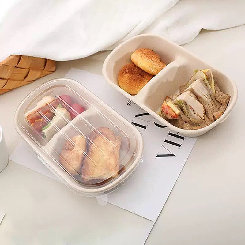 10/50 قطعة من صناديق الطعام لل - مراجعة Food Storage Safety وسعره