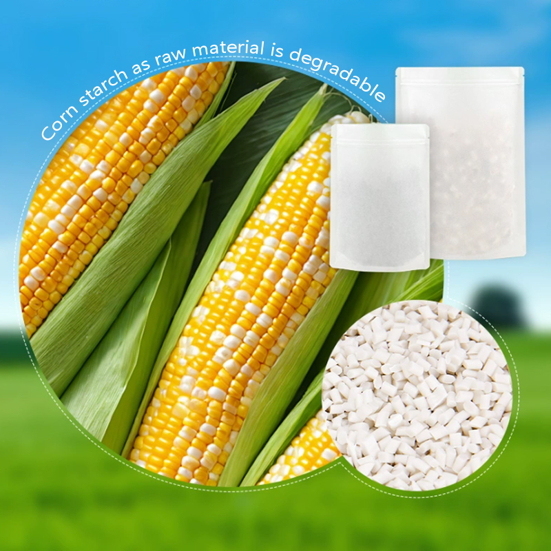 أكياس ورق الكرافت القابلة للتح - مراجعة Food Storage Plant وسعره
